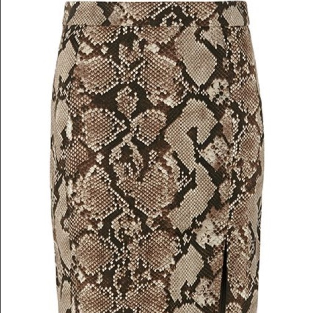 Python Pencil Skirt